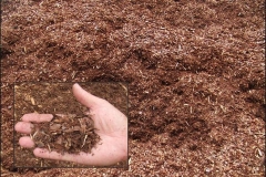 With its earthy dark brown color and fresh pine scent, Fine Pine Bark Mulch is a customer favorite. Light, stable, and non-colloidal.