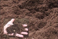 Double Shredded Commercial Grade Hardwood Mulch creates a smooth, uniform surface that helps it stay in place. This mulch is robust, dark, and rich. It releases bionutrients back to the soil, nourishing and protecting your soil and landscape in the process. It also helps in with weed, water, and erosion management.