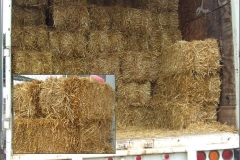 Straw is baled dried stalks of grain. RSSY offers baled straw for erosion control, ground cover, water quality protection, or any other need you may have. Most commonly used for grass seeding.
